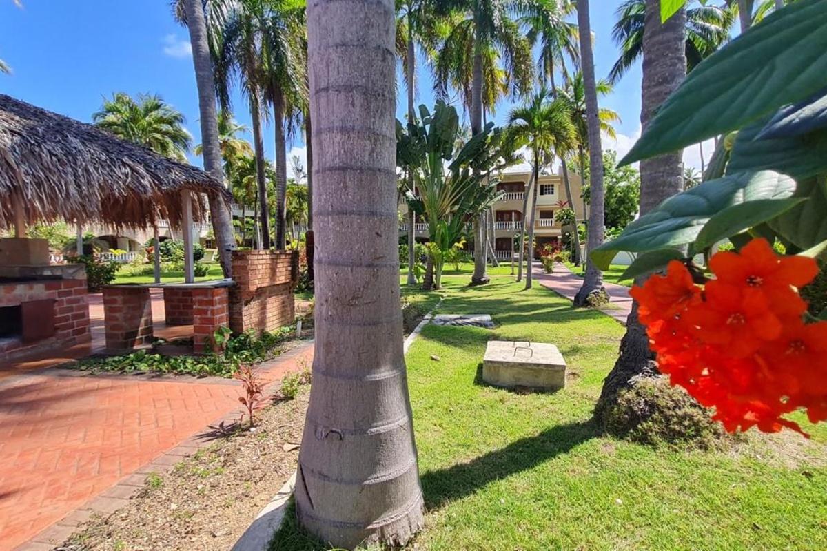 Hotel Cortecito Inn Bavaro Punta Cana Buitenkant foto